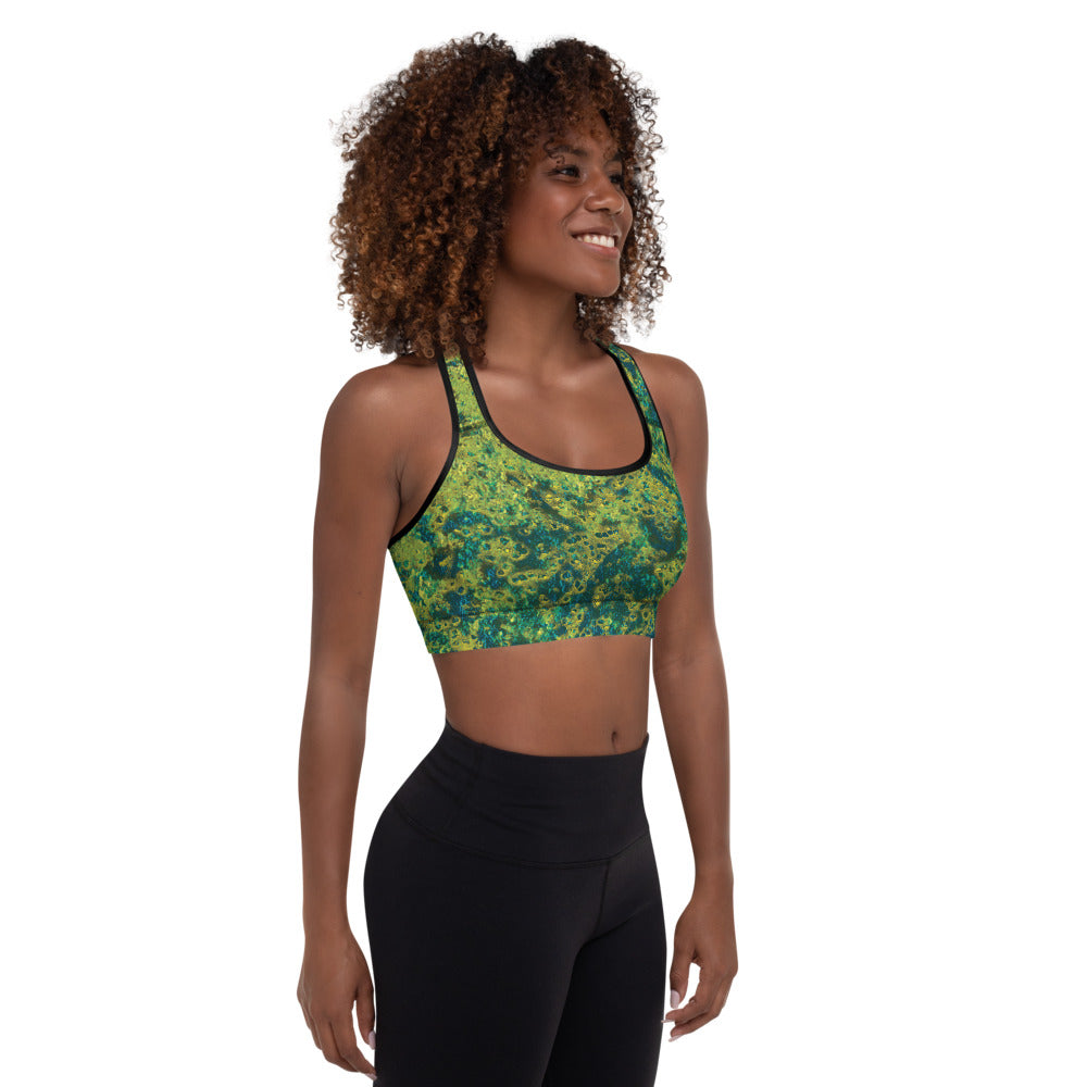 Salty Dog Padded Sports Bra